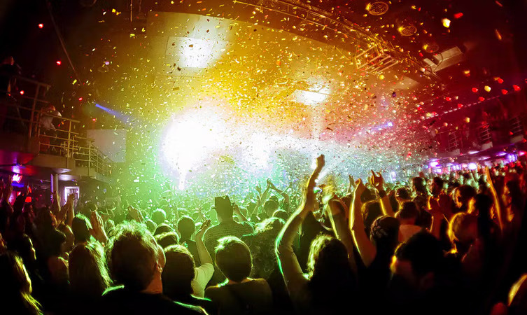 Party crowd at Johnny Cool Beach Bar in Goa, a popular nightlife spot near Palolem stays.